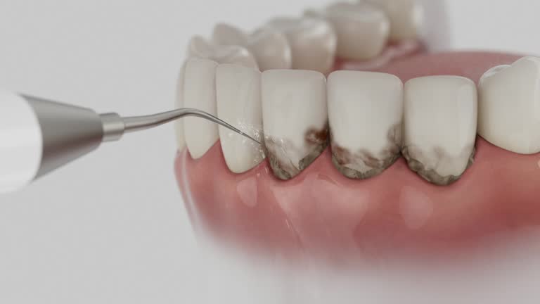 Reliable Dental contractor in Algonac, MI by Dentist Open Now